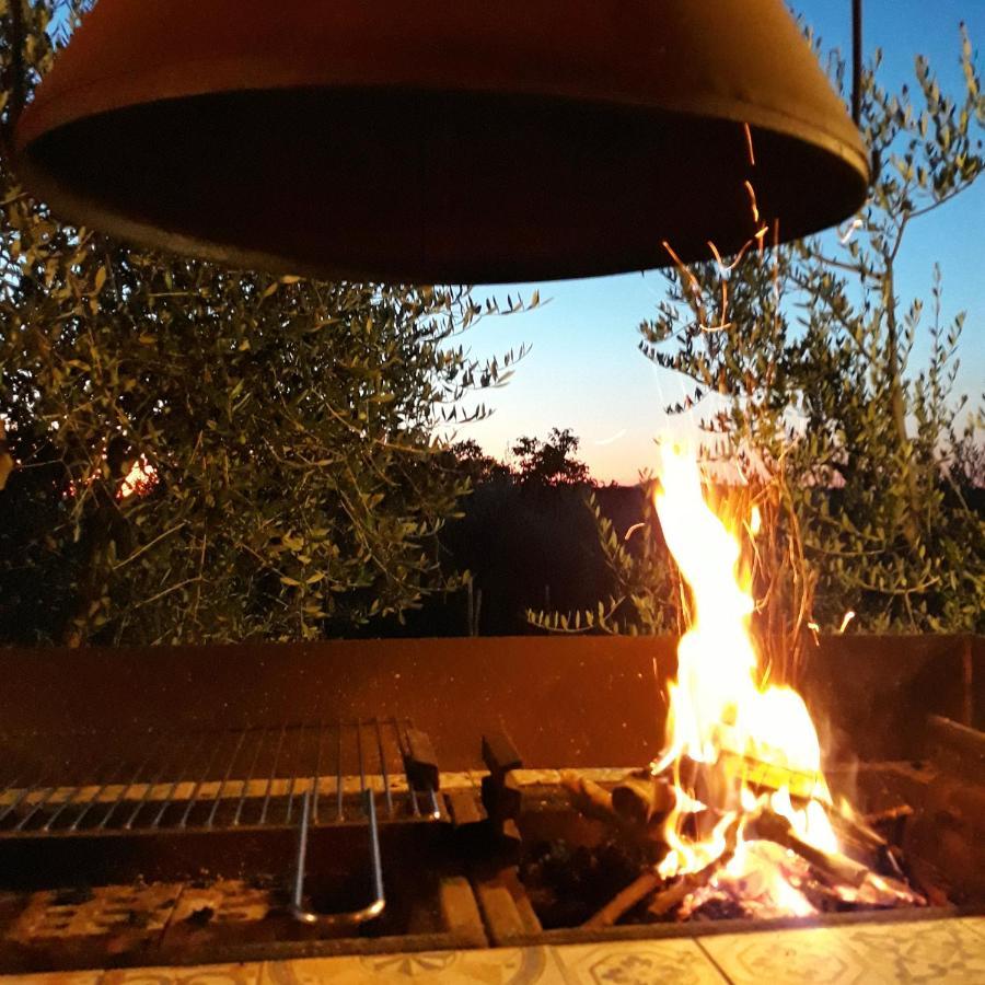 La Vigna Countrybnb Montottone Exteriér fotografie