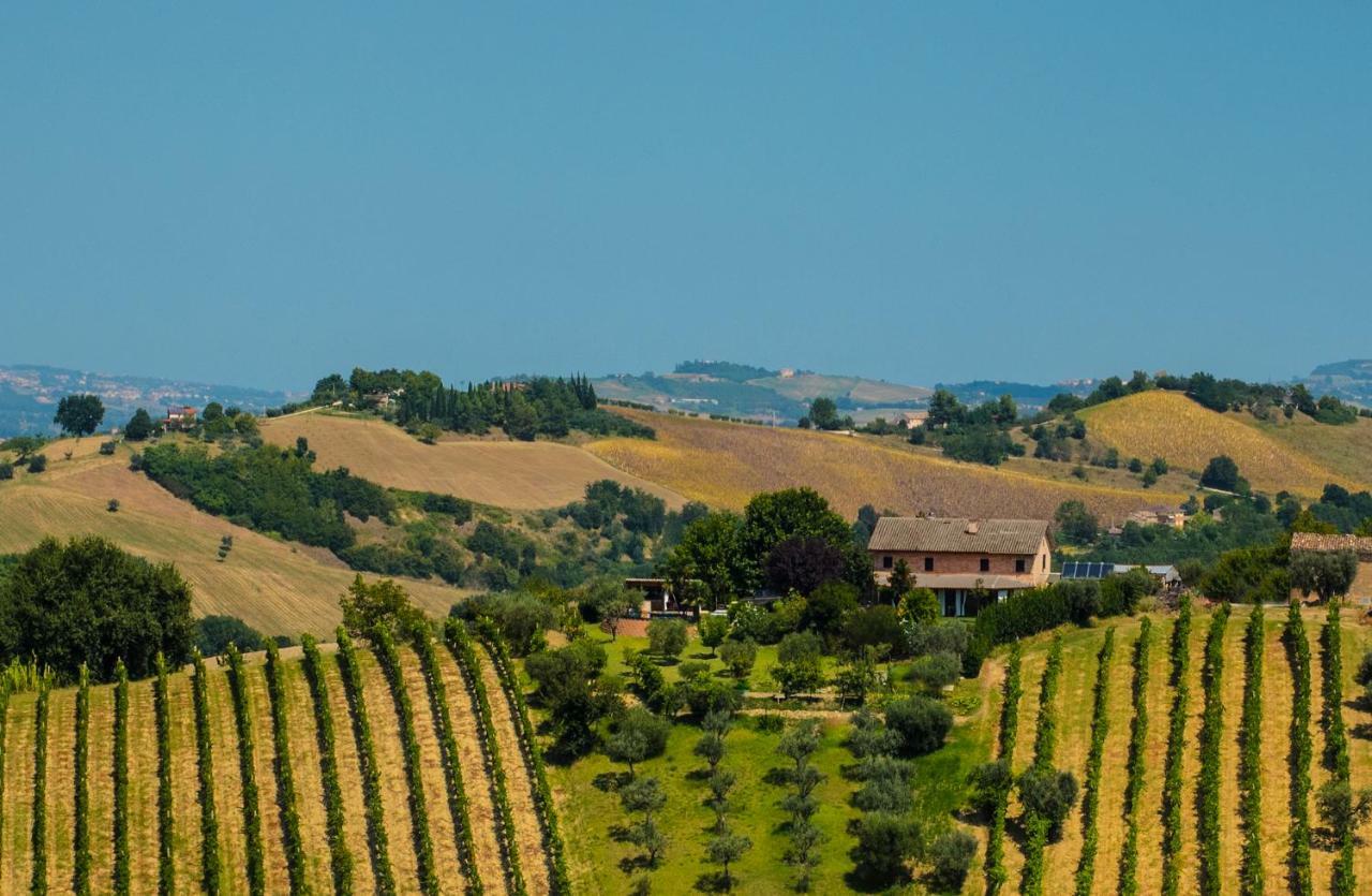La Vigna Countrybnb Montottone Exteriér fotografie